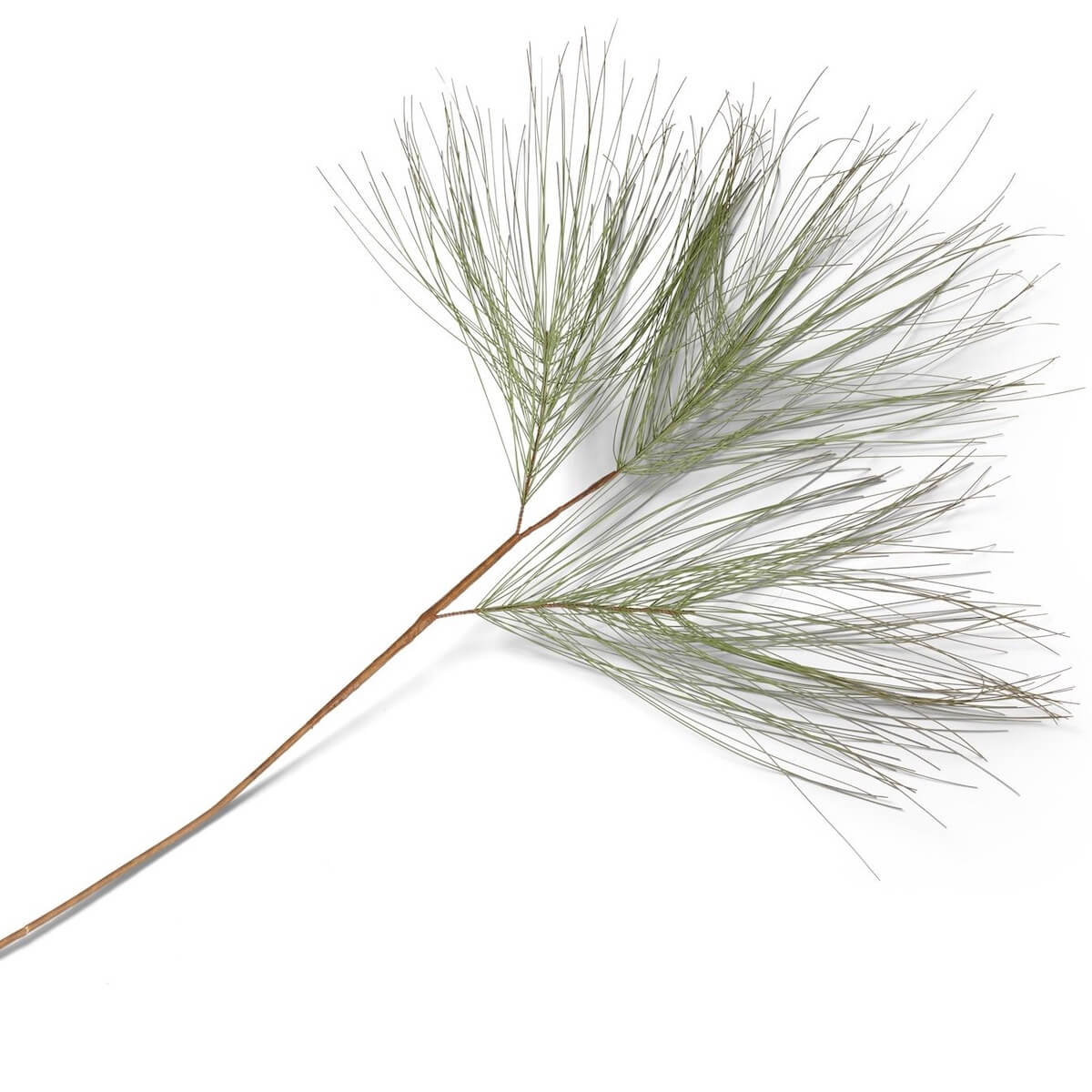 Branche d'aiguilles de pin artificielle 100cm Coco Maison