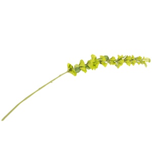 Branche Molcucella artificielle Coco Maison