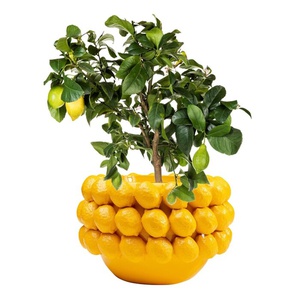 Cachepot décoratif 22cm LEMON JUICE Kare Design