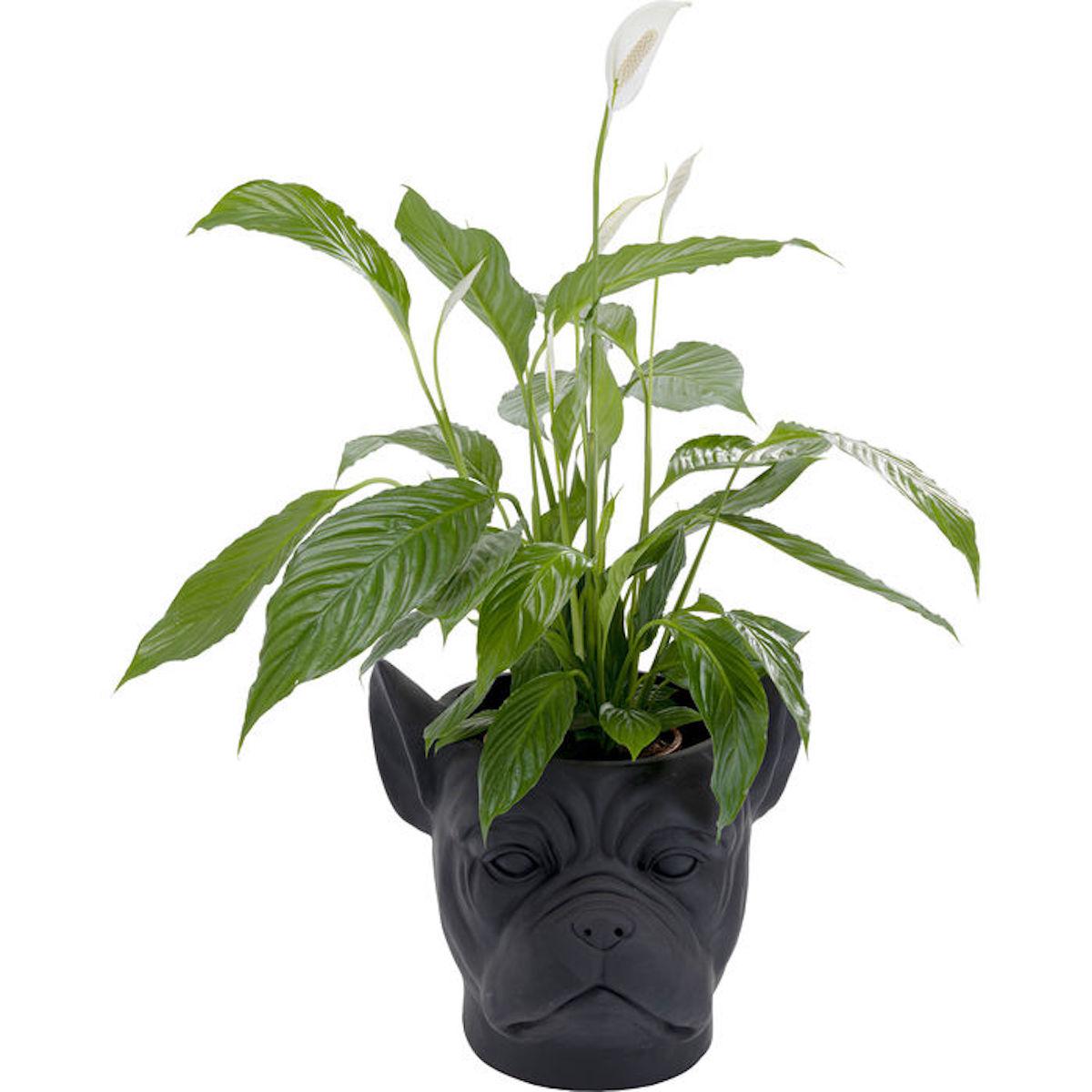 Cachepot décoratif BULLDOG Kare Design noir 