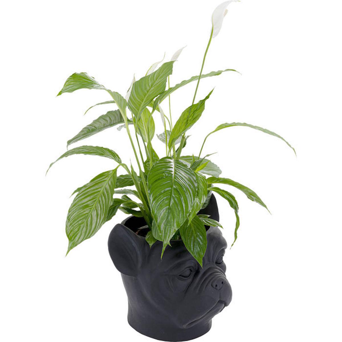 Cachepot décoratif BULLDOG Kare Design noir 