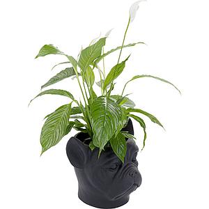 Cachepot décoratif BULLDOG Kare Design noir 