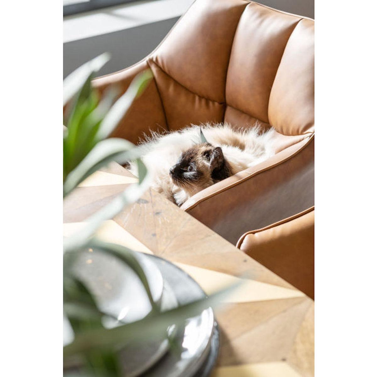 Chaise accoudoirs THINKTANK Kare Design marron
