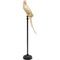 Deco Figurine Parrot Gold 116cm Kare Design