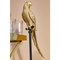 Deco Figurine Parrot Gold 116cm Kare Design