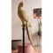 Deco Figurine Parrot Gold 116cm Kare Design