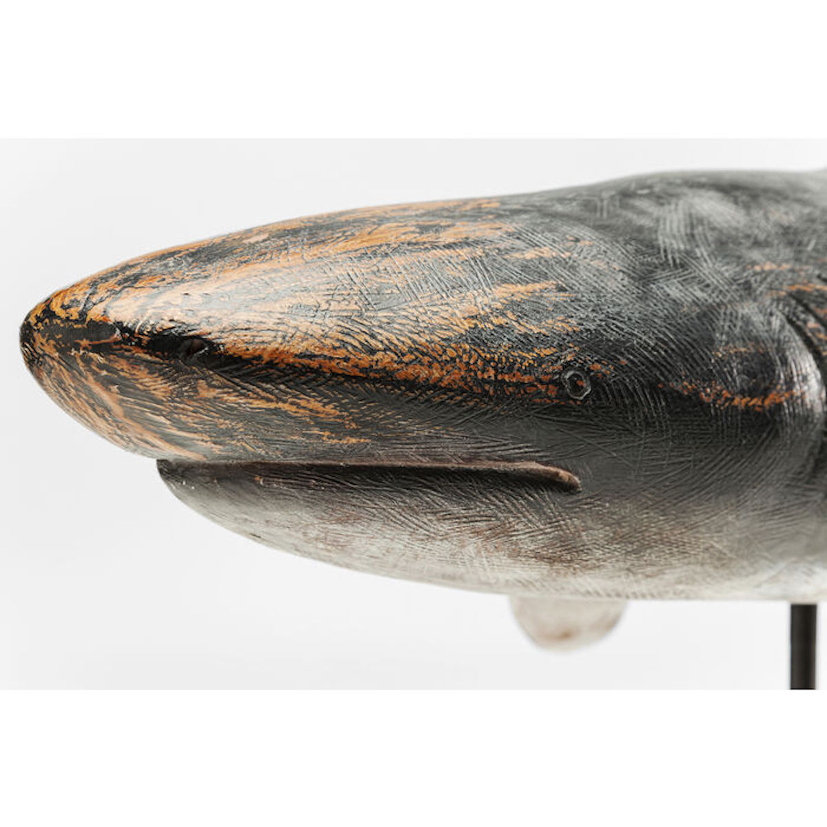 Deco Figurine Shark Base 59cm Kare Design
