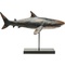 Deco Figurine Shark Base 59cm Kare Design