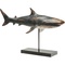 Deco Figurine Shark Base 59cm Kare Design