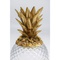 Deco Jar Pineapple Visible Kare Design