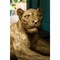 Deco Object Lion Gold 113cm Kare Design