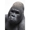 Figurine décorative 39cm MONKEY GORILLA Kare Design M noir