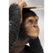 Figurine décorative 52cm BUTLER PLAYING CHIMP Kare Design noir