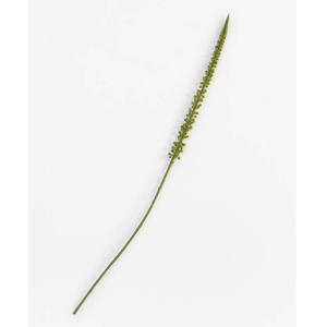 Fleur artificielle DONKEY Coco Maison H86 cm
