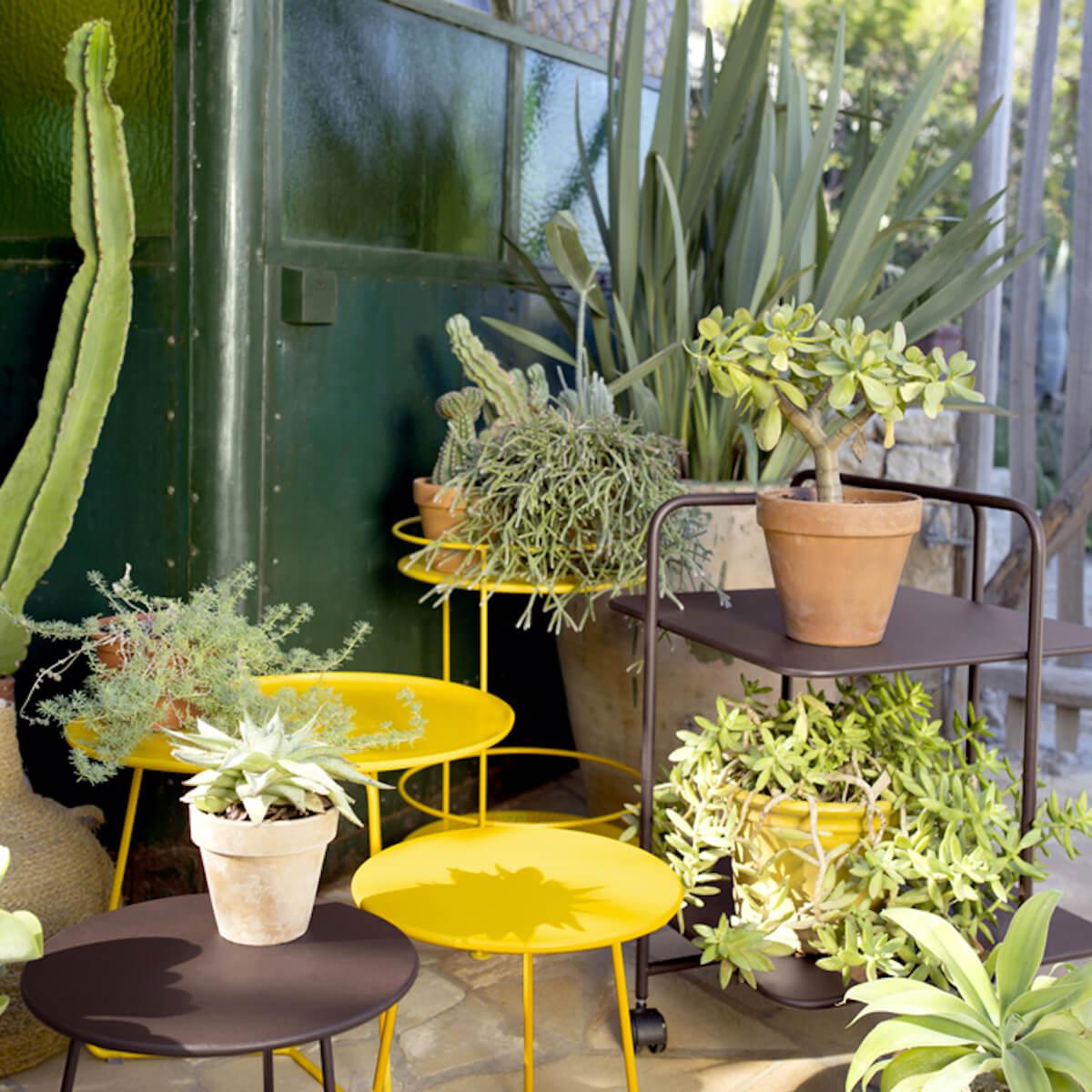 Guéridon ALFRED Fermob cactus