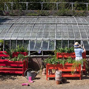 Jardinière grand TERRAZZA Fermob tilleul