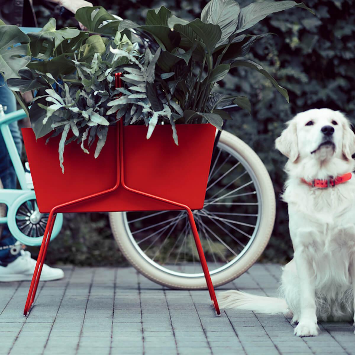 Jardinière haut BASKET Fermob Blanc coton