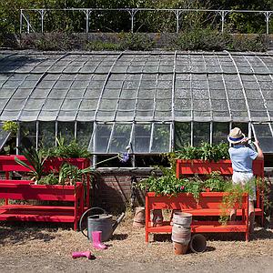Jardinière moyen TERRAZZA Fermob tilleul