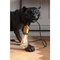 Lampe de sol 40cm ANIMAL BAGHEERA Kare Design