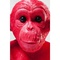 Money Box Monkey Kikazaru Red Kare Design
