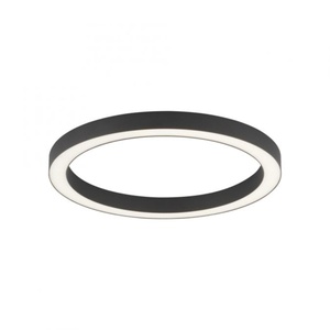 Plafonnier LINES ROUND Neuhaus Pure anthracite Dia50