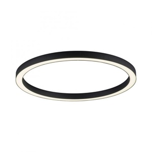 Plafonnier LINES ROUND Neuhaus Pure anthracite Dia70
