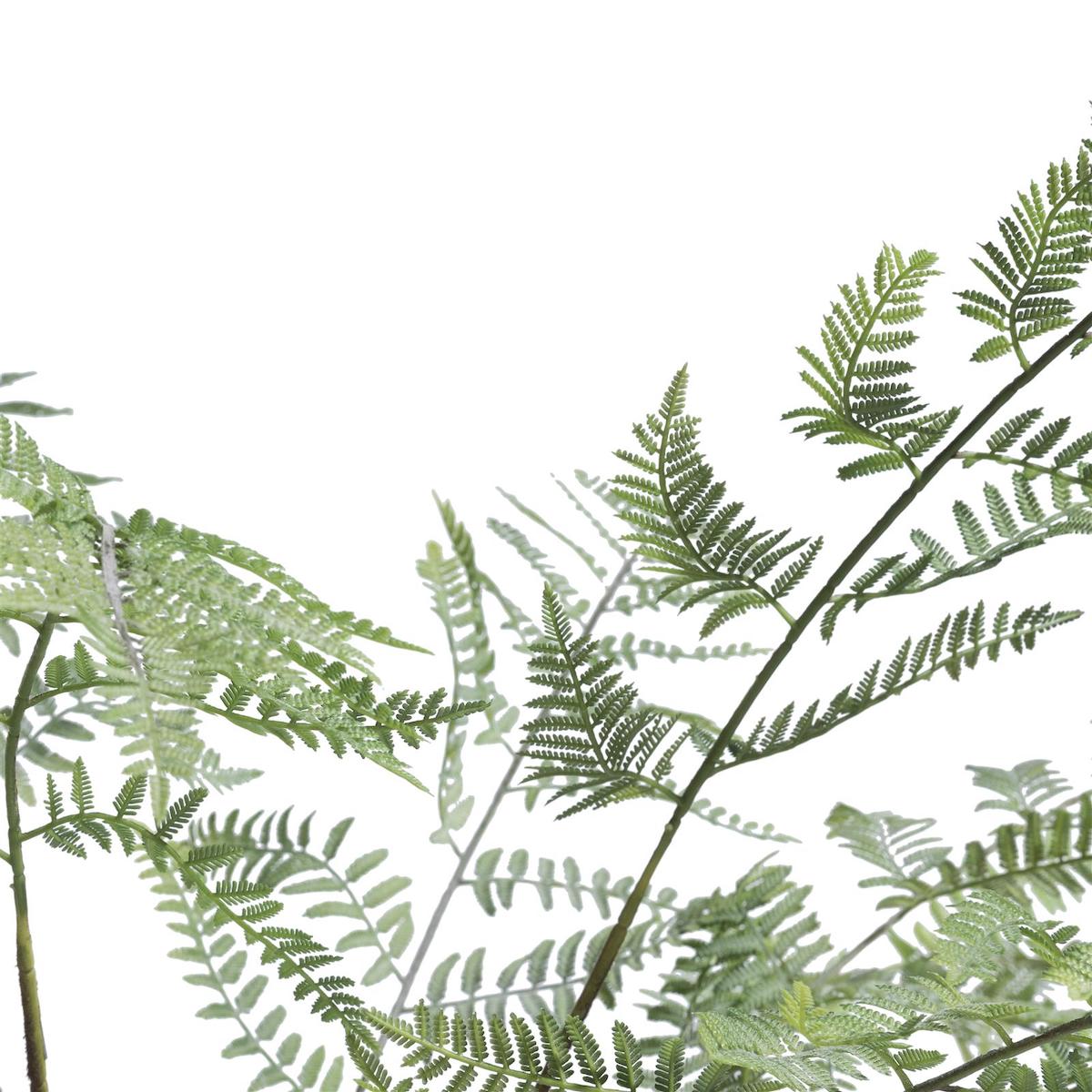 Plante décorative 100cm FERN Coco Maison
