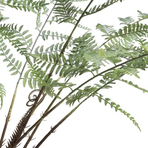 Plante décorative 100cm FERN Coco Maison