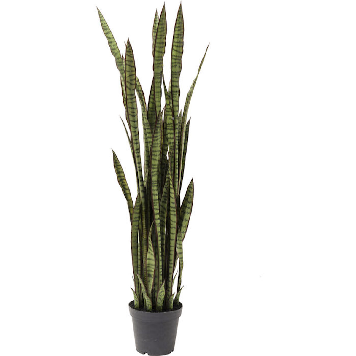 Plante décorative 155cm SANSEWIERIA Kare Design