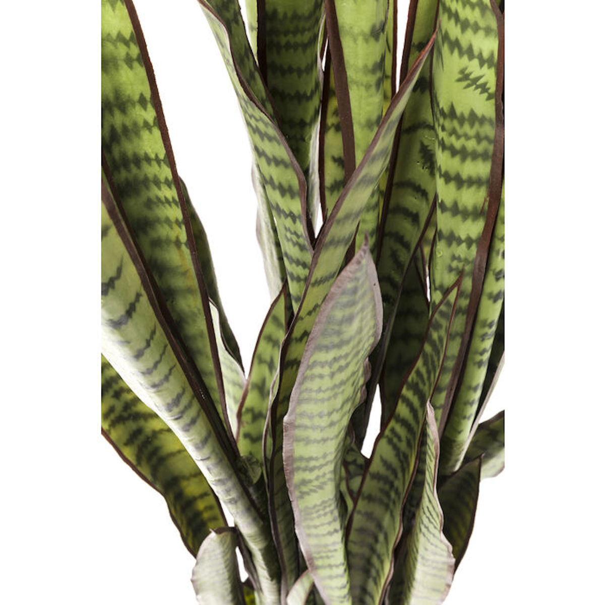Plante décorative 155cm SANSEWIERIA Kare Design