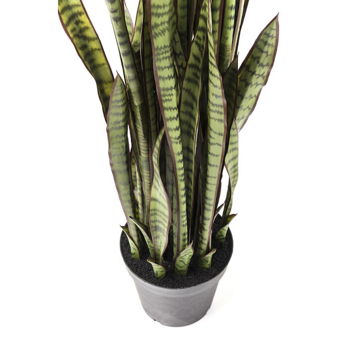 Plante décorative 155cm SANSEWIERIA Kare Design