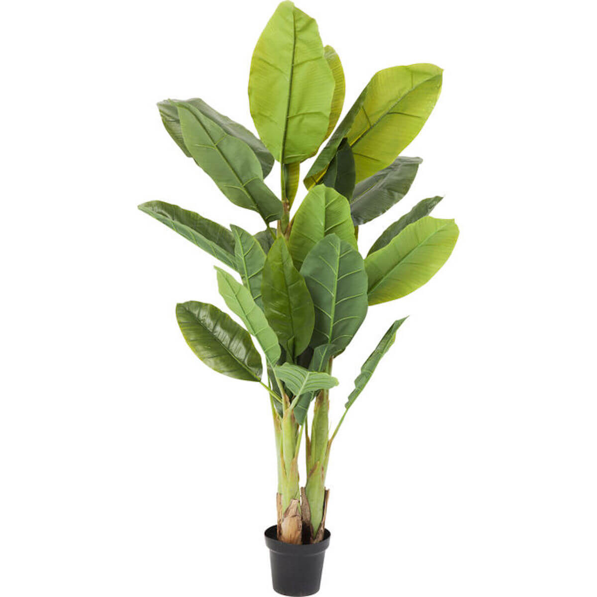 Plante décorative 180cm BANANA TREE Kare Design