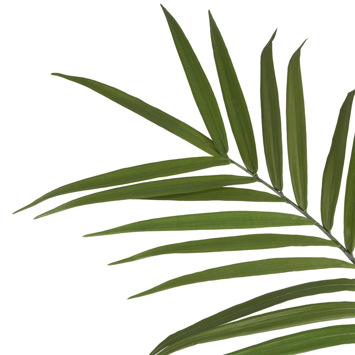 Plante décorative 180cm KENTIA Coco Maison