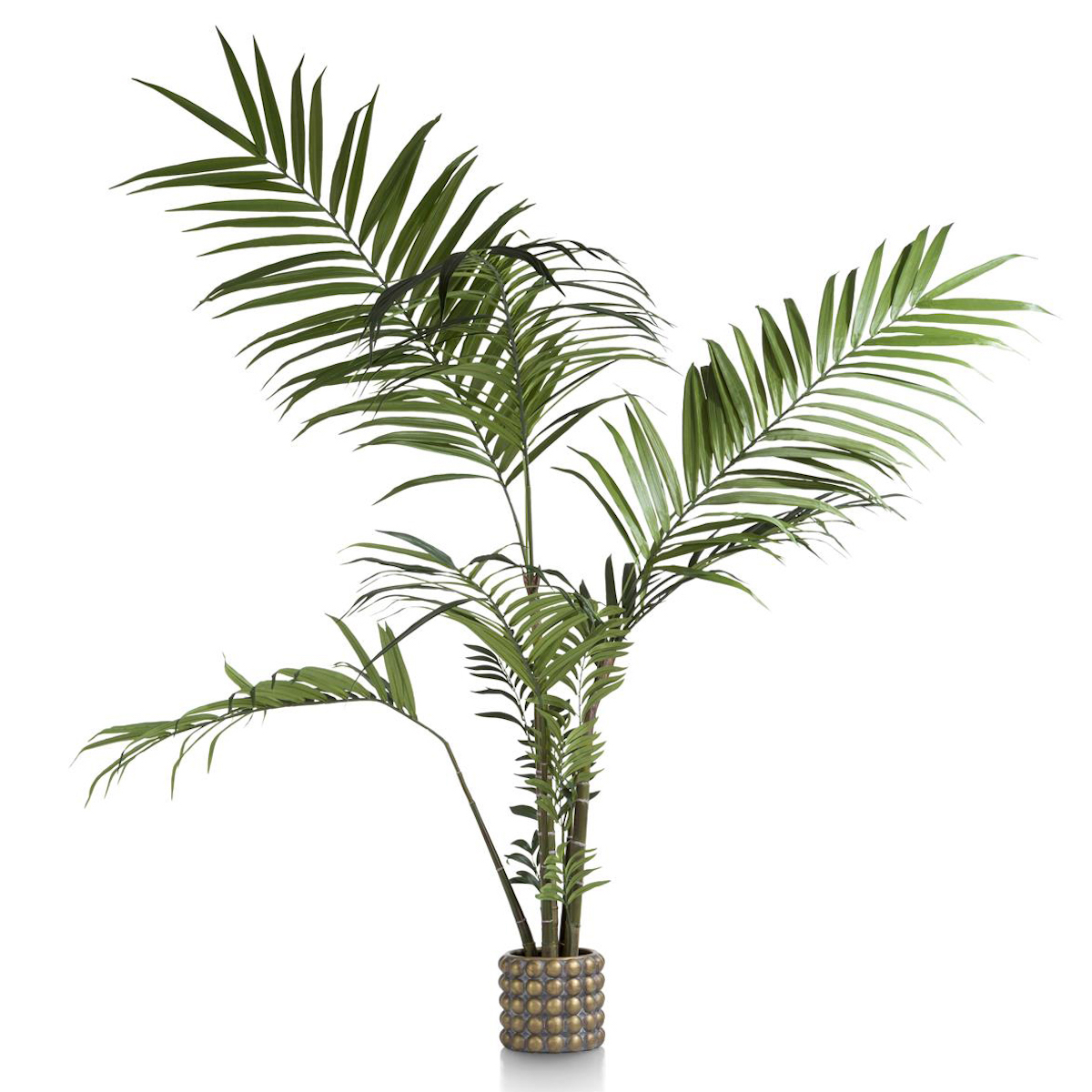 Plante décorative 180cm KENTIA Coco Maison