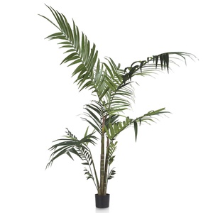 Plante décorative 180cm KENTIA Coco Maison