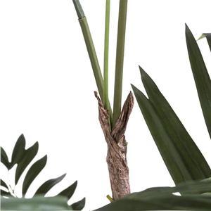 Plante décorative 180cm KENTIA Coco Maison