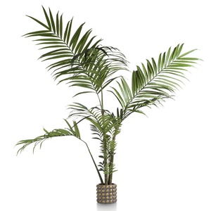 Plante décorative 180cm KENTIA Coco Maison