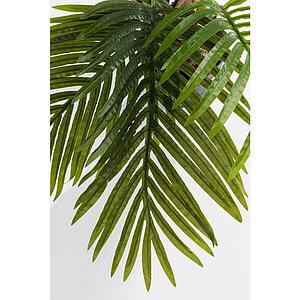 Plante décorative 190cm PALM TREE Kare Design