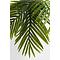 Plante décorative 190cm PALM TREE Kare Design