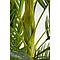 Plante décorative 190cm PALM TREE Kare Design