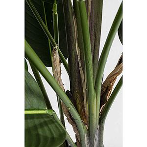 Plante décorative 190cm PARADISE FLOWERS Kare Design