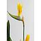 Plante décorative 190cm PARADISE FLOWERS Kare Design
