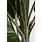 Plante décorative 190cm PARADISE FLOWERS Kare Design