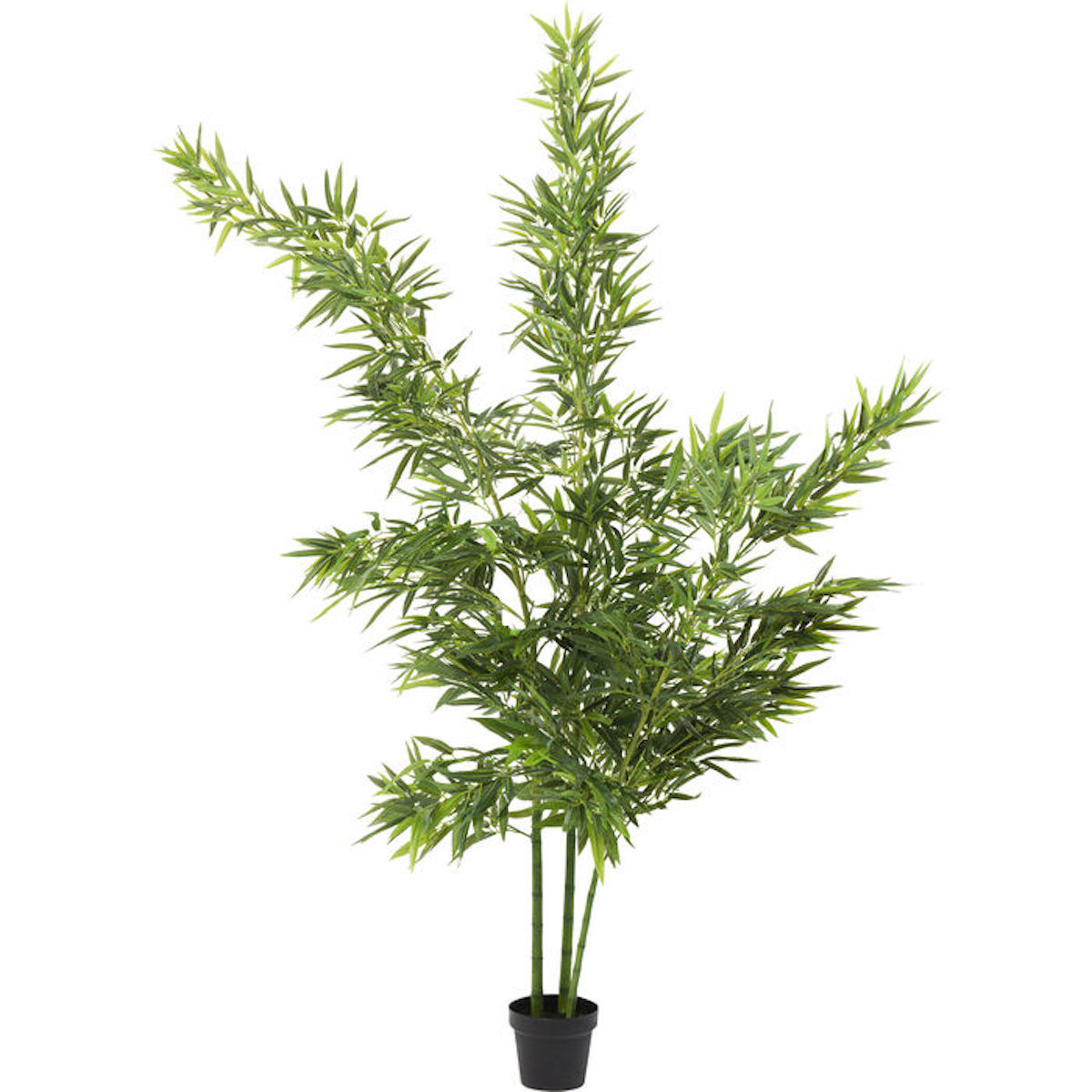 Plante décorative 200cm BAMBOO TREE Kare Design