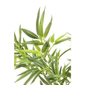 Plante décorative 200cm BAMBOO TREE Kare Design