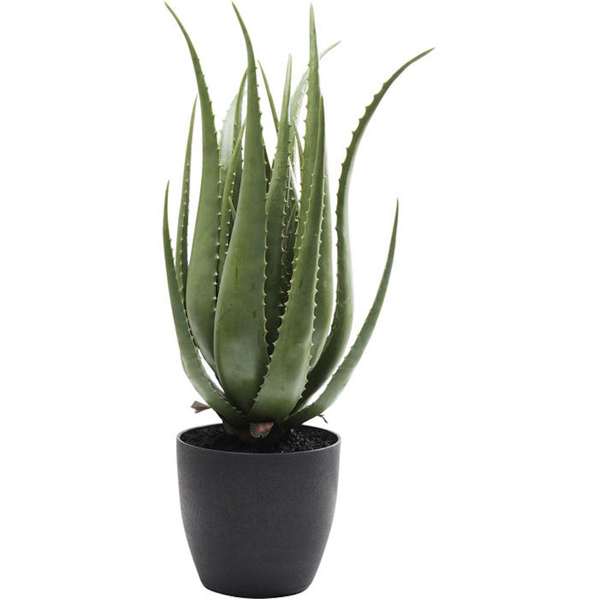Plante décorative 69cm ALOE Kare Design