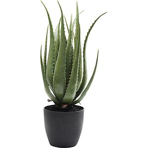 Plante décorative 69cm ALOE Kare Design