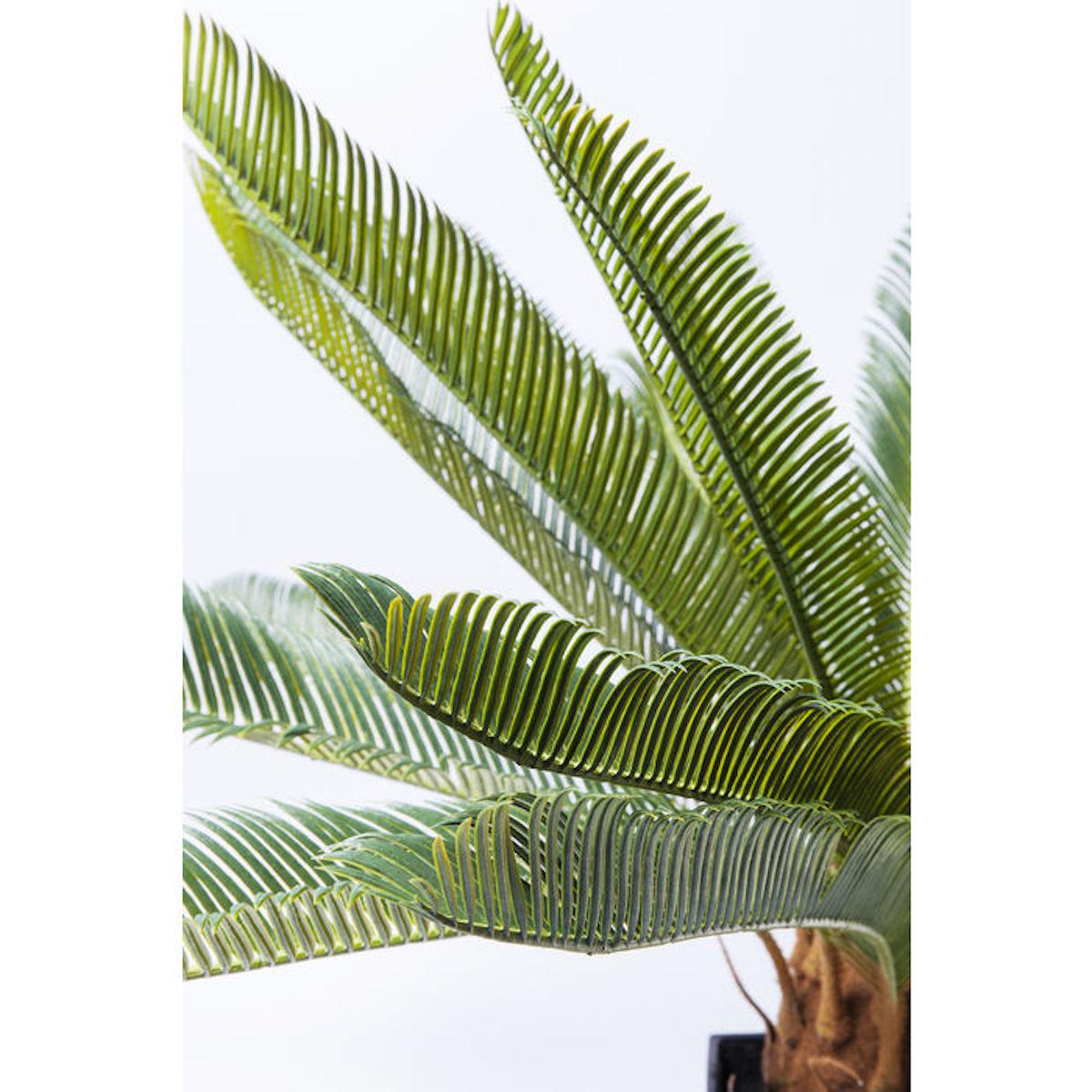 Plante décorative 78cm CYCAS TREE Kare Design
