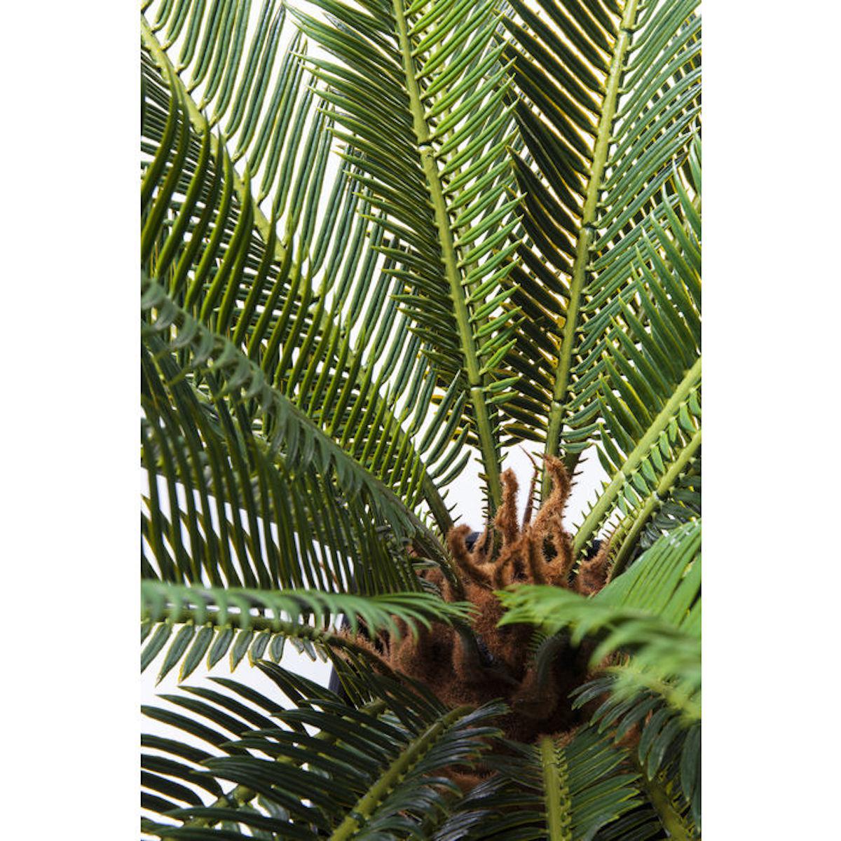 Plante décorative 78cm CYCAS TREE Kare Design