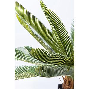 Plante décorative 78cm CYCAS TREE Kare Design